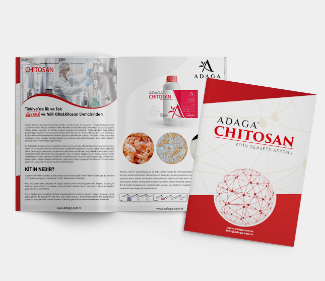 Chitosan Brochure